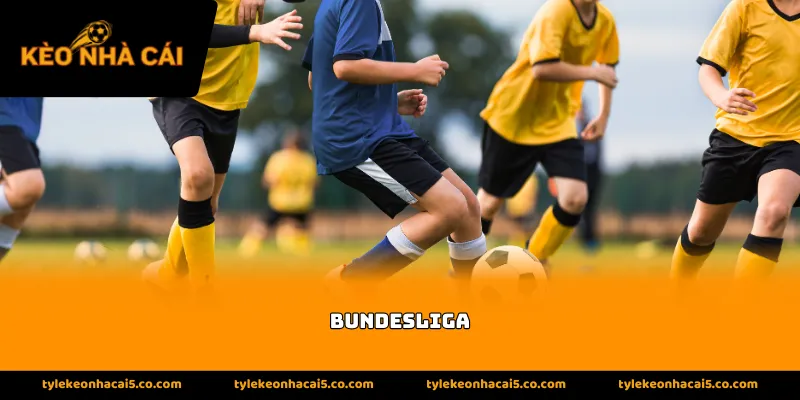 Lịch sử hình thành của các giải bóng đá Bundesliga