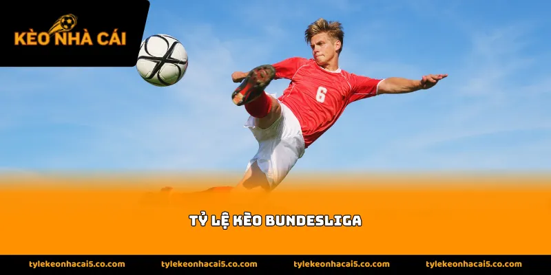 Đặc trưng của bản của tỷ lệ kèo Bundesliga